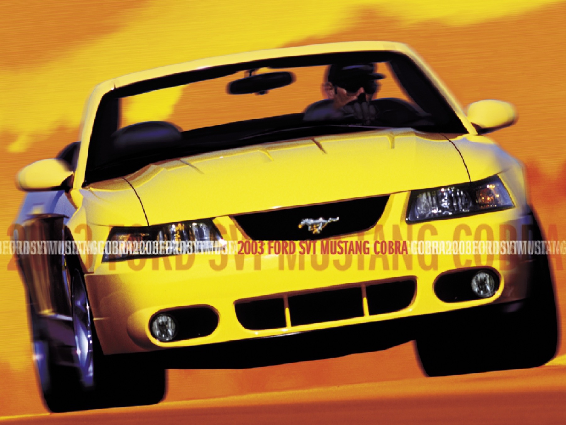 2003 Ford Mustang Cobra Brochure